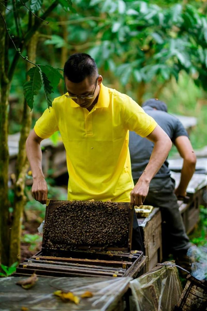 Nguyễn Hùng Mạnh - Giám đốc Công ty TNHH Mật ong Hùng Mạnh