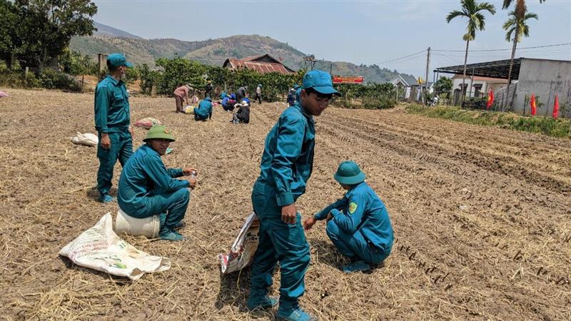 Lực lượng dân quyân tự vệ gúp dân trồng dâu