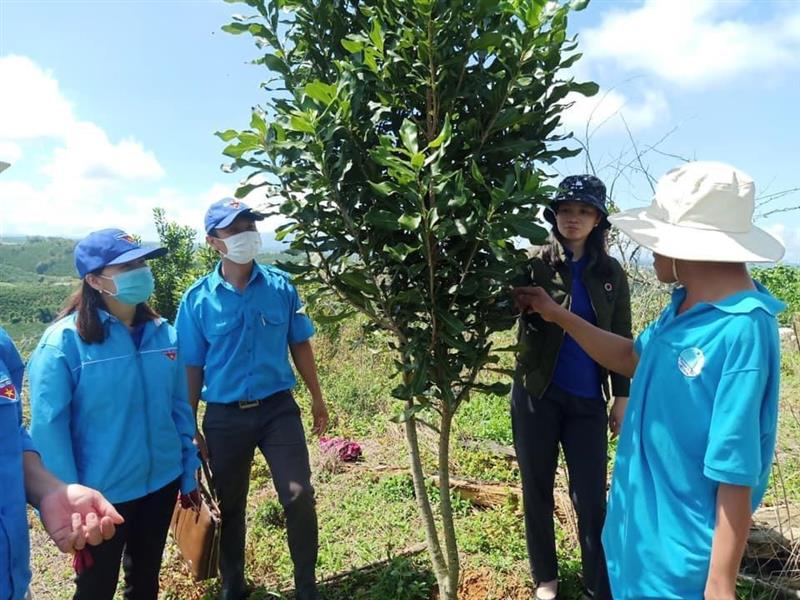đồng chí Trần Thị Hồng Hạnh - HUV, Bí thư Huyện đoàn thăm mô hình thanh niên huyện Lâm Hà làm kinh tế