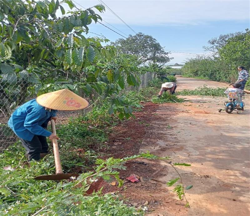 Ra quân trồng hoa