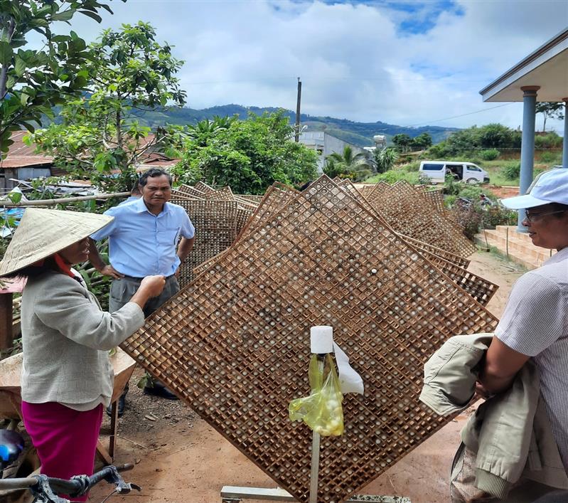 Hình ảnh: Đồng bào dân tộc thiểu số 2 thôn Rtieng xã Phú Sơn nuôi tằm để phát triển kinh tế gia đình