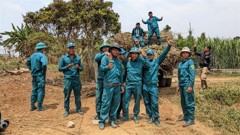 Lực lượng dân quân thường trực xã Đạ Đờn tham gia thu gom giống dâu chuẩn bị hỗ trợ các hộ dân thực hiện mô hình “Dân vận khéo”