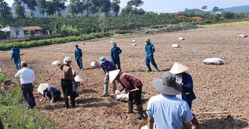Lực lượng dân vận tổ chức hỗ trợ trồng dâu cho các hộ dân tham gia mô hình “Dân vận khéo” tại thôn Đạ Ty – xã Đạ Đờn năm 2023